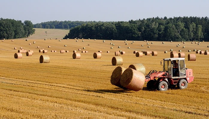 La loi protège désormais les bruits de la campagne